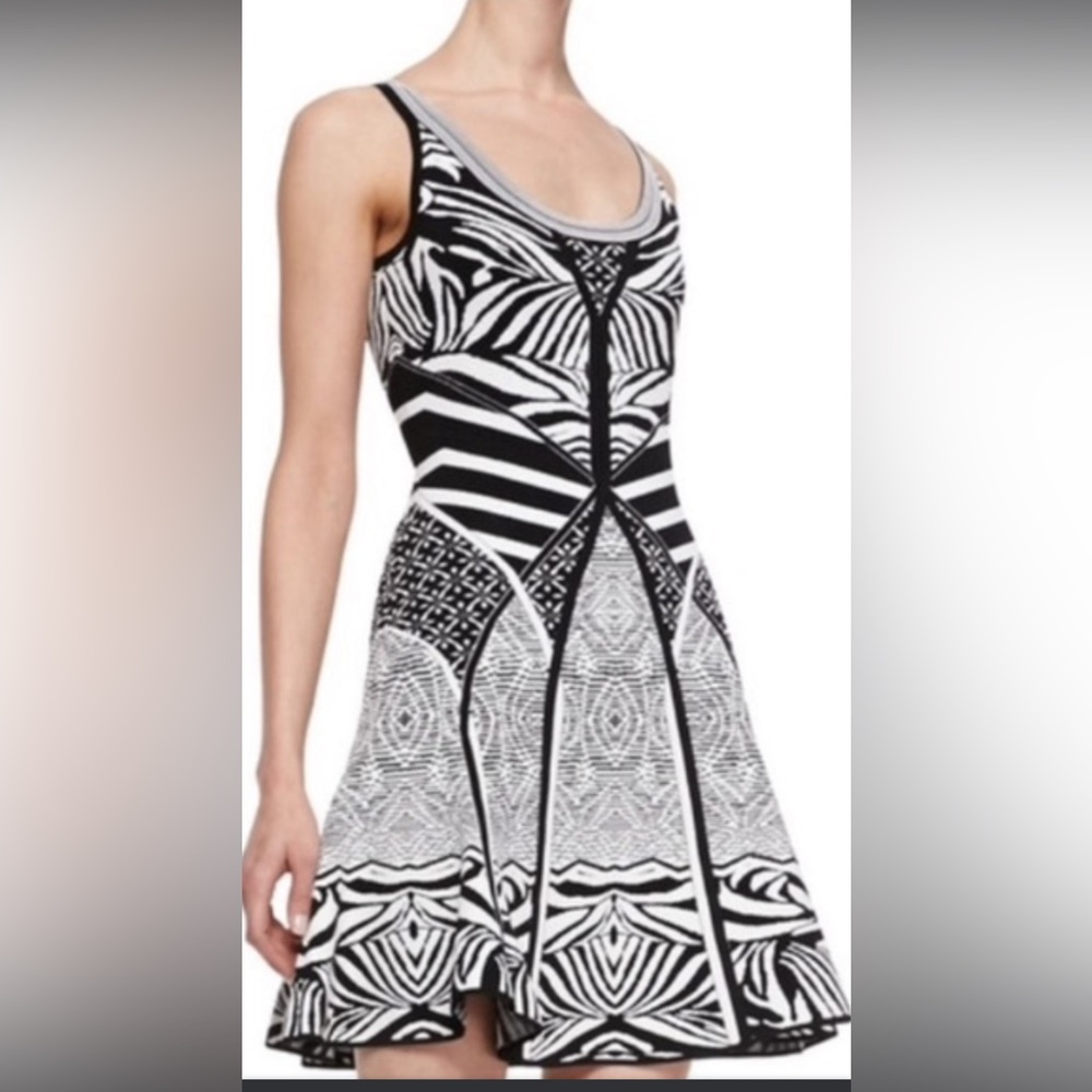 Diane von Furstenberg zebra Print Fit and Flare Dress… excellent quality…